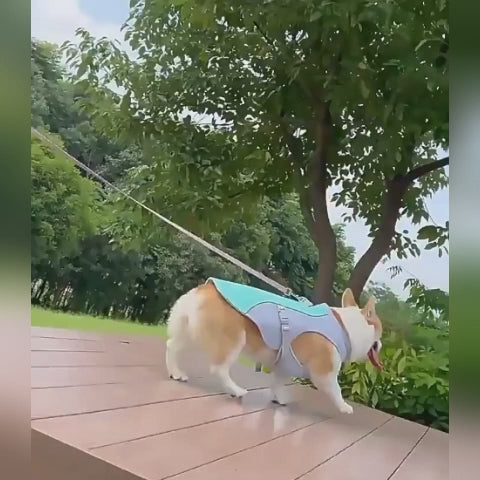 Cooling Dog Vest for Hot Summer Days